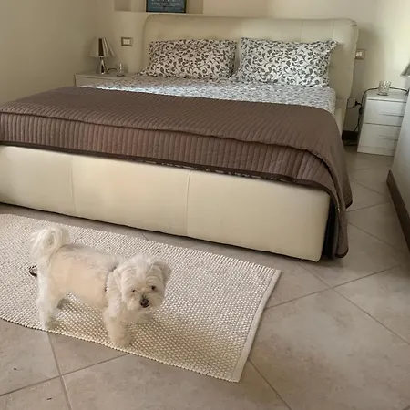 Prestige アローナ